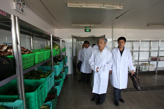 10.工作组考察学生食堂